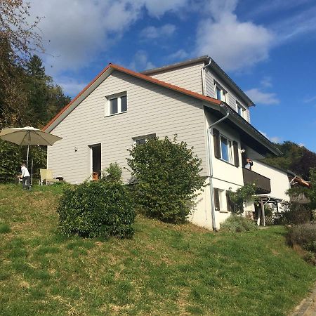 Willa Alpenpanorama Am Hochrhein Gailingen am Hochrhein Zewnętrze zdjęcie