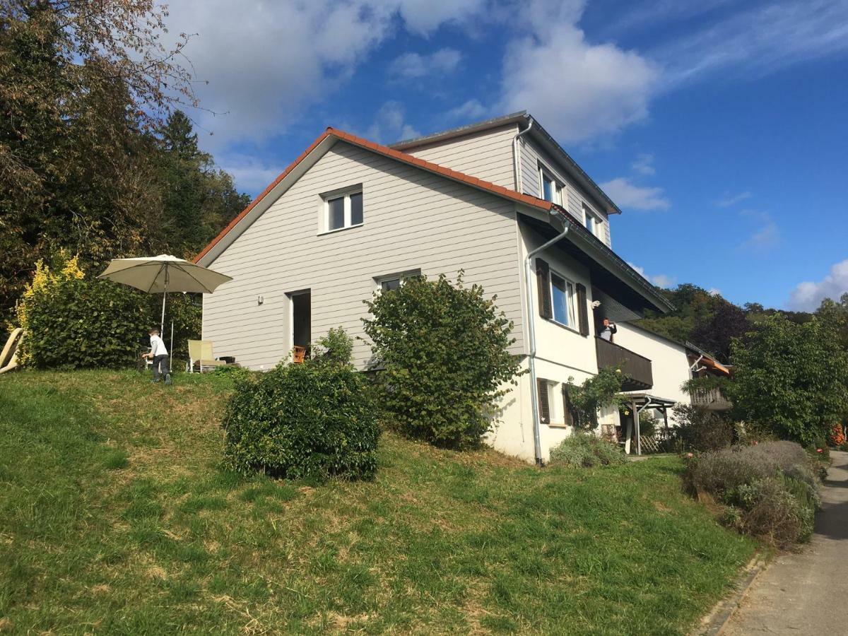 Willa Alpenpanorama Am Hochrhein Gailingen am Hochrhein Zewnętrze zdjęcie