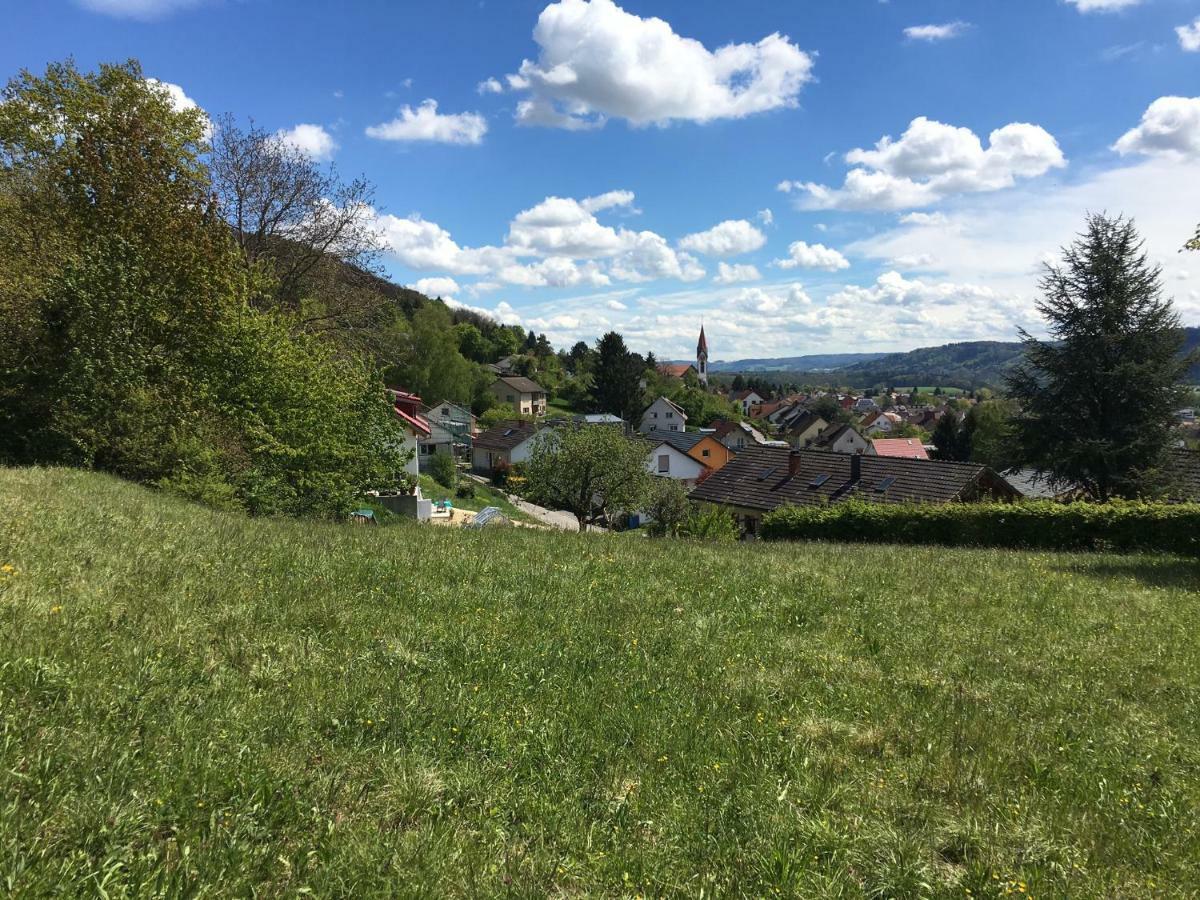 Willa Alpenpanorama Am Hochrhein Gailingen am Hochrhein Zewnętrze zdjęcie
