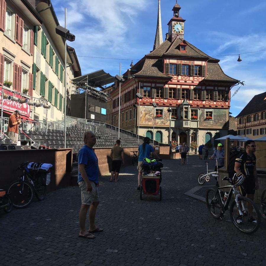 Willa Alpenpanorama Am Hochrhein Gailingen am Hochrhein Zewnętrze zdjęcie