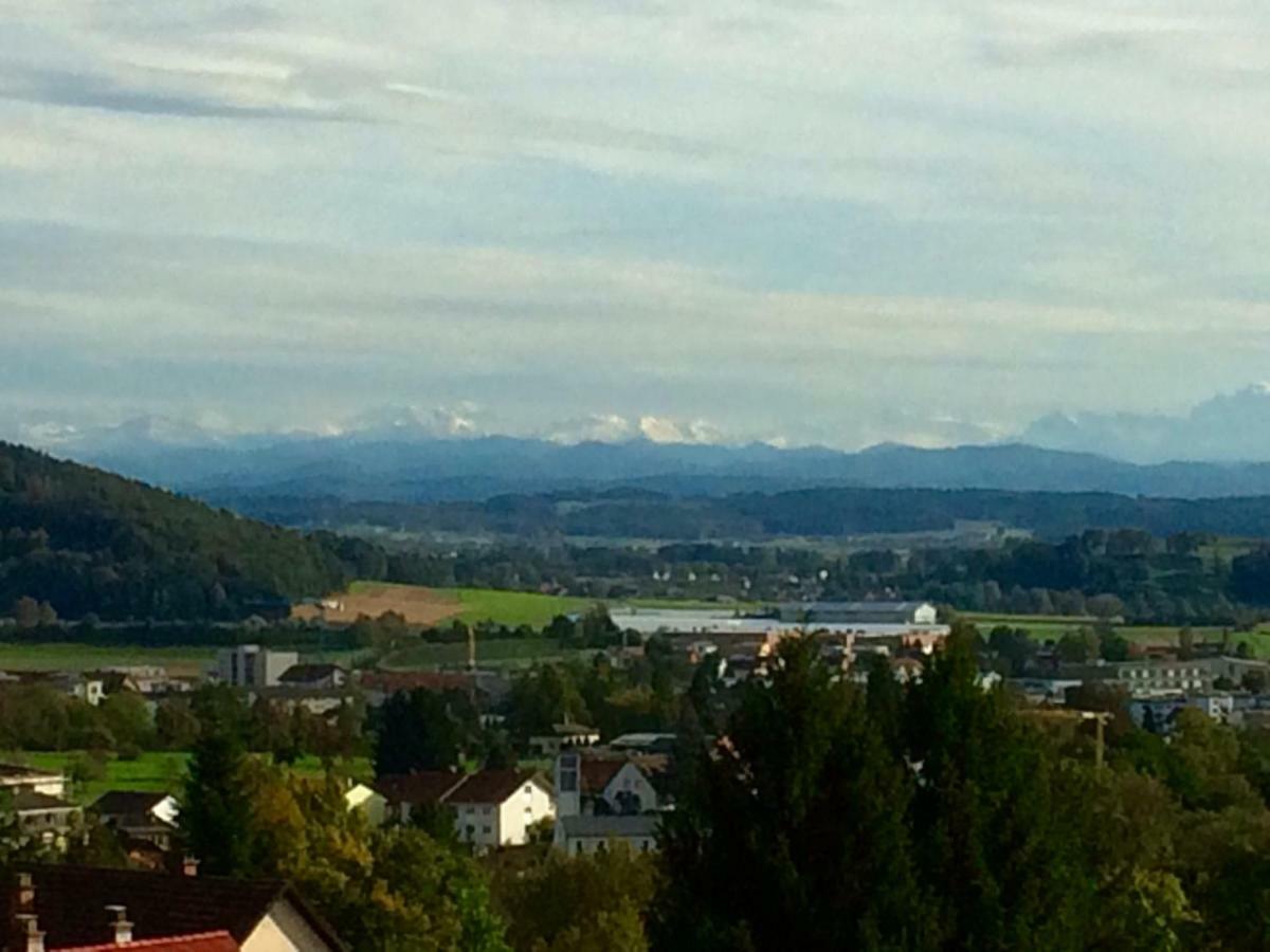 Willa Alpenpanorama Am Hochrhein Gailingen am Hochrhein Zewnętrze zdjęcie